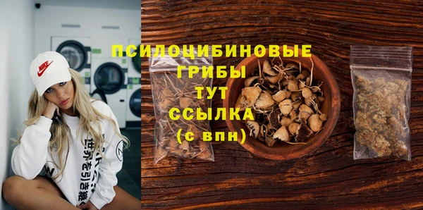 прущий лед Михайловка