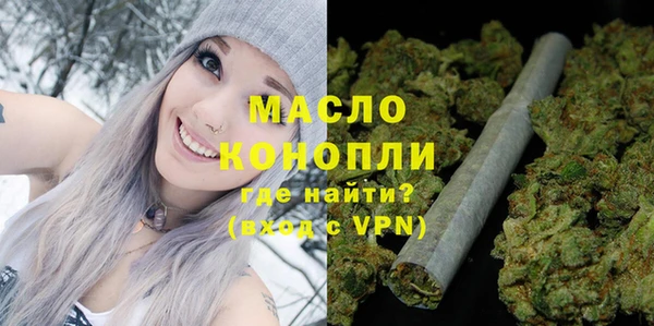индика Козельск