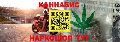 молекула духа Будённовск