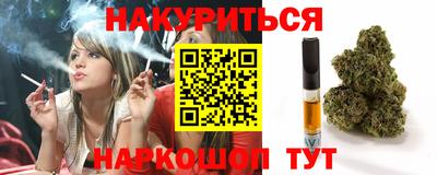 молекула духа Будённовск