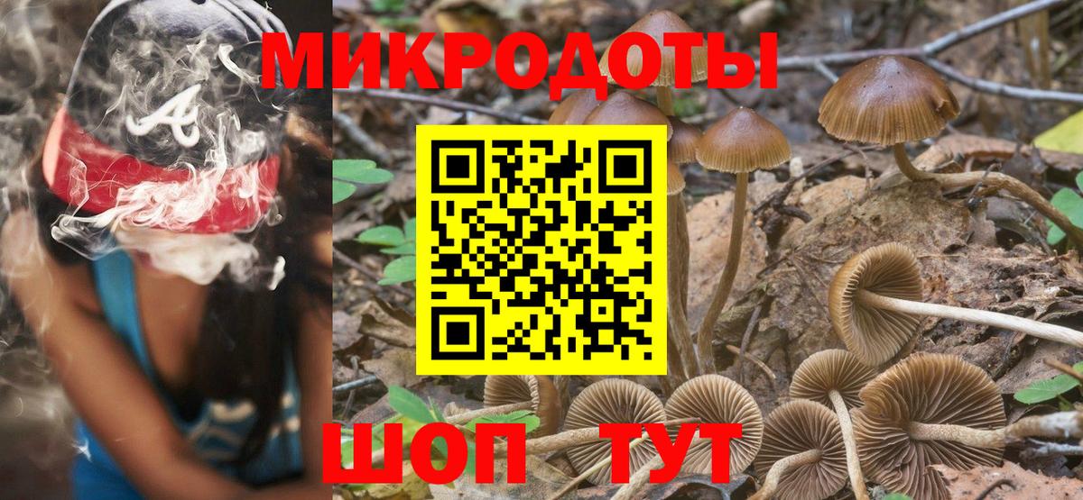 Галлюциногенные грибы прущие грибы  Вход с VPN  Елабуга  Псилоцибиновые грибы GOLDEN TEACHER 