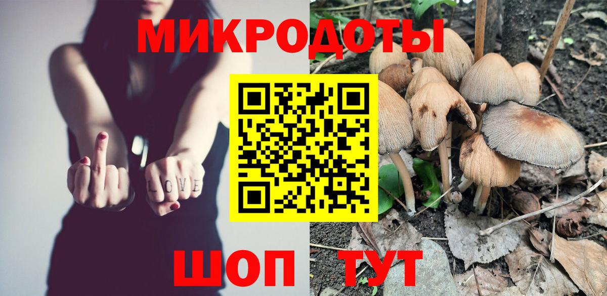 Псилоцибиновые грибы Psilocybe  Елабуга 