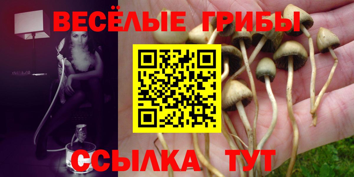 Галлюциногенные грибы прущие грибы Елабуга